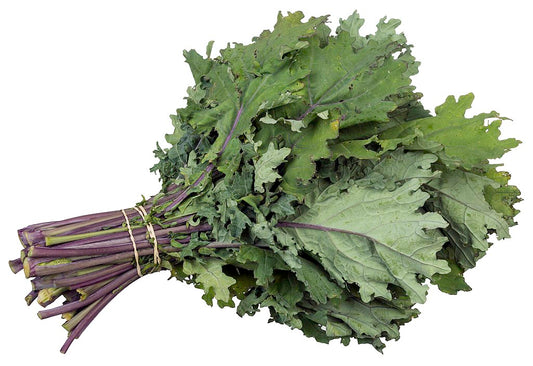 Kale - White Russian - Bunch