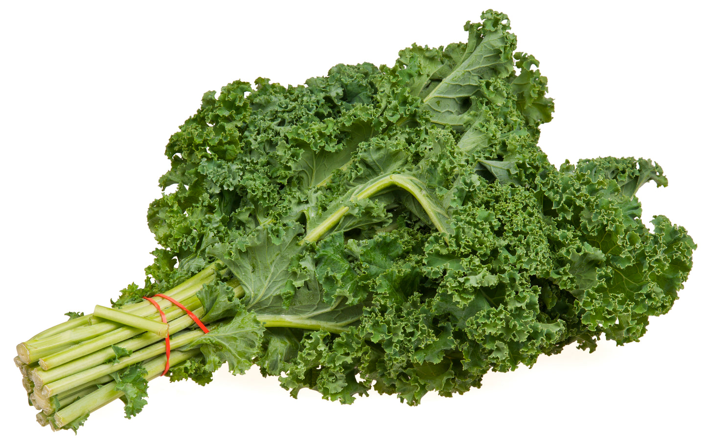 Kale - Curly - Bunch