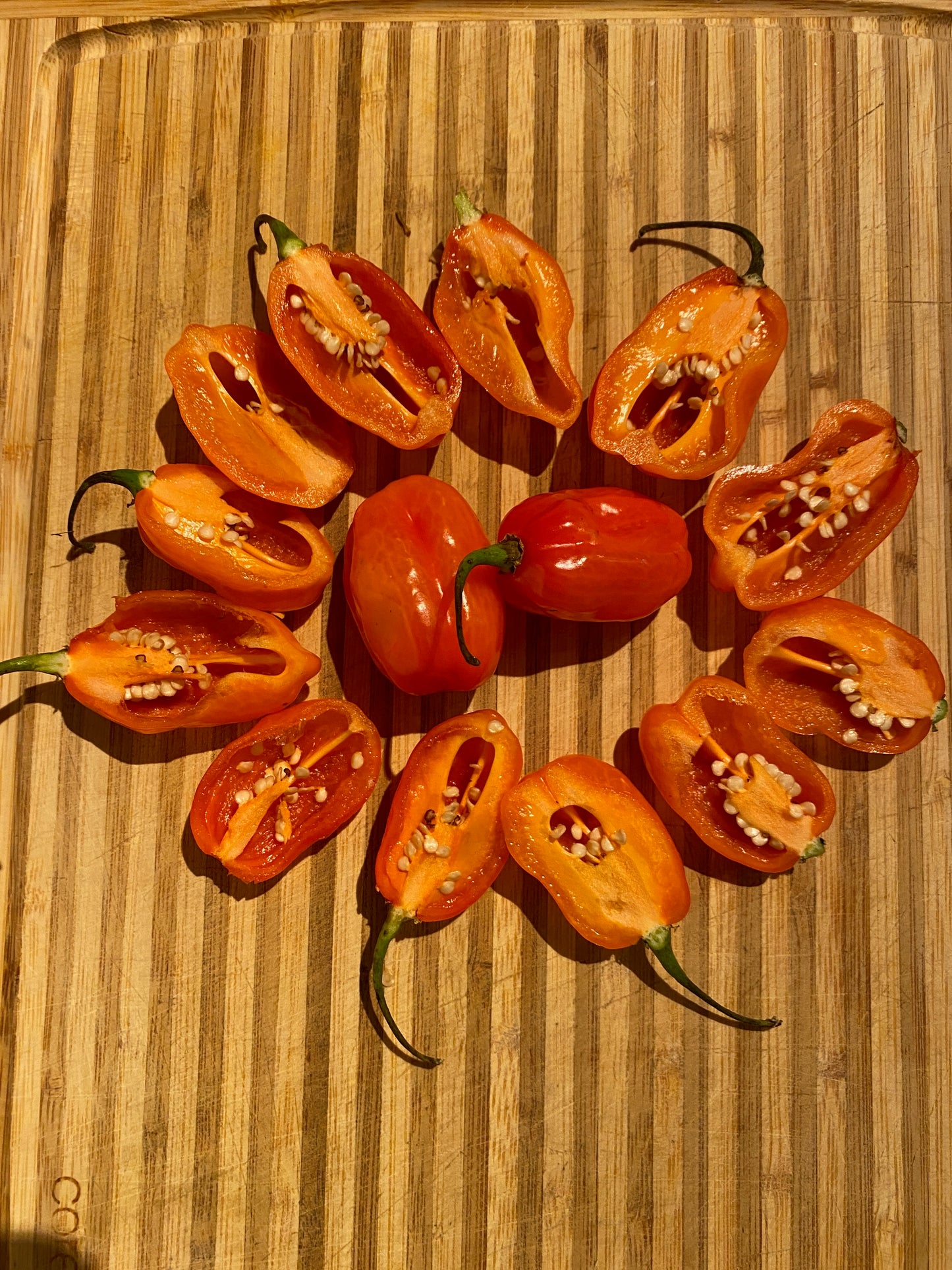 Pepper - Habanero