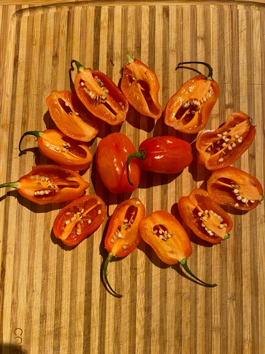 Pepper - Habanero