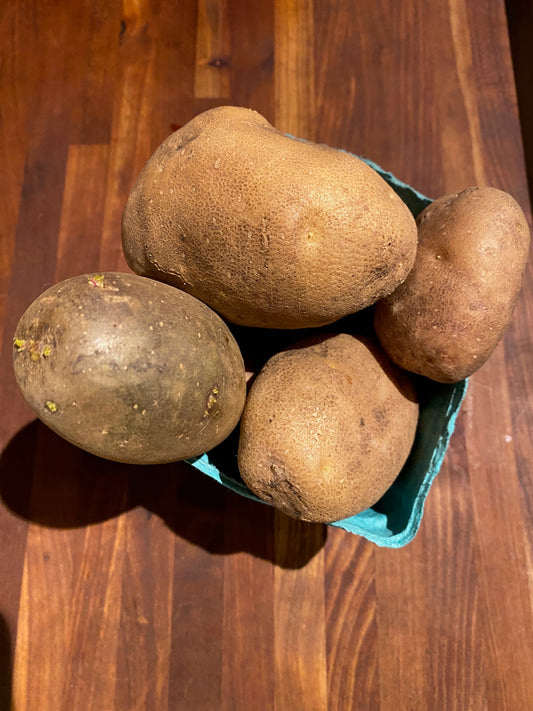 Potato - Russet