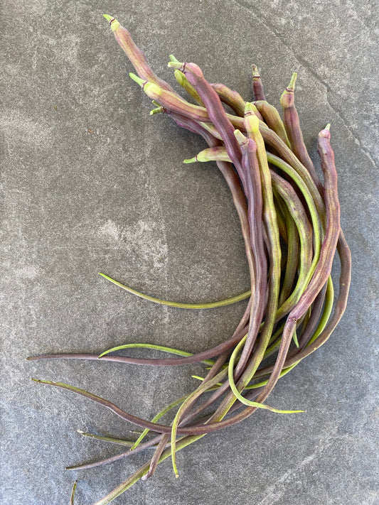 Radish Pods